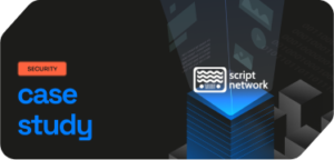 Read more about the article Security Case Study on Script Network